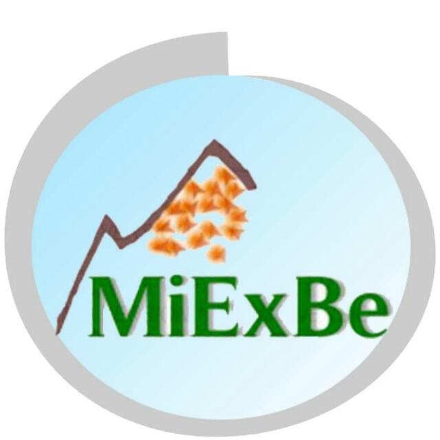 Minera de Explotacion y Beneficio